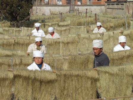 圖為工人在晾曬粉絲